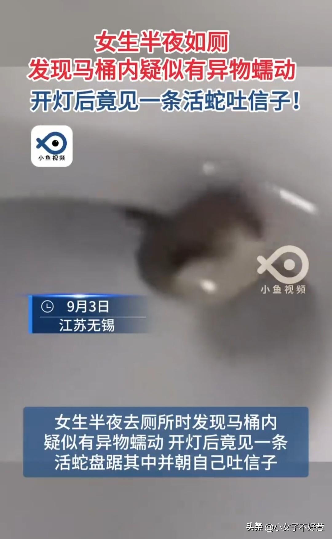 “太吓人了！”一女子半夜熟睡，突然一股尿意来袭，她赶紧跑到厕所，结果刚打开马桶盖