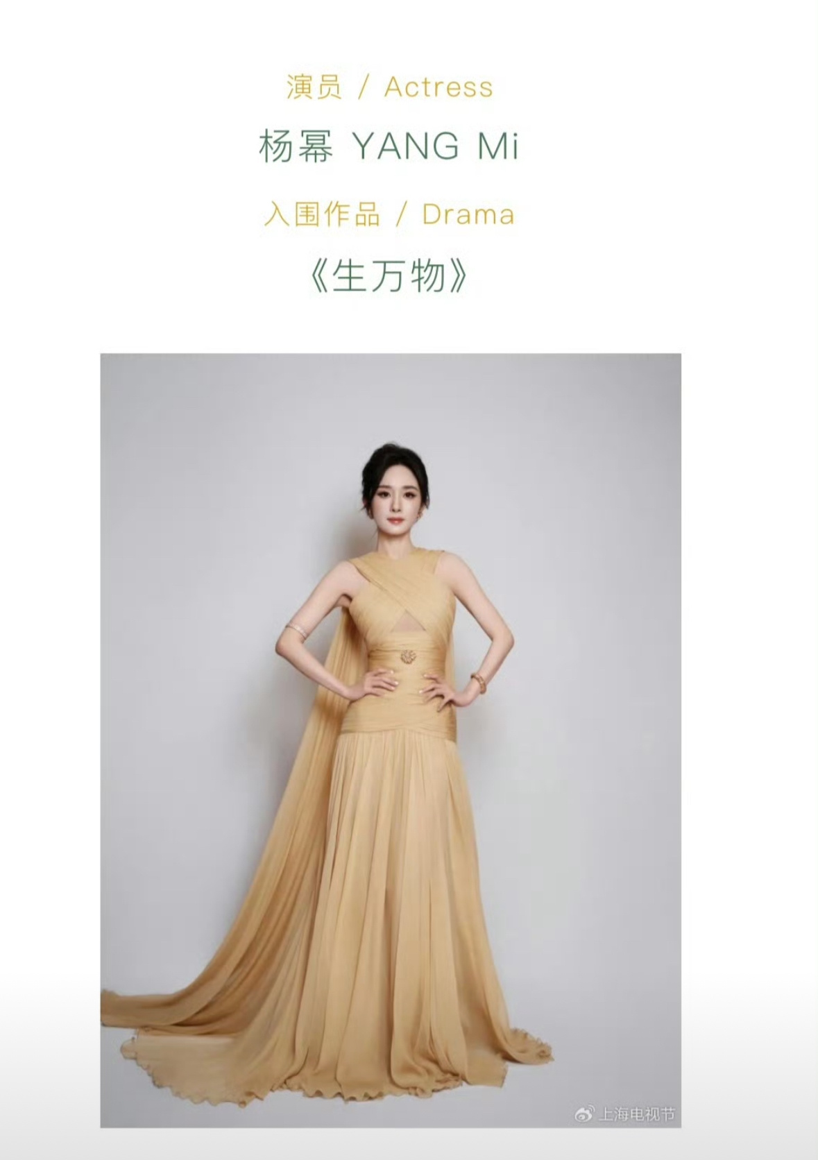 白玉兰最佳男女主提名公式照：杨幂 杨紫 白宇 