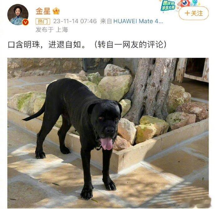 想起金星这事#格力就高管遭自媒体侮辱诽谤报案# ​​​