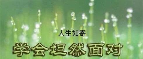 《当命运将我逼入绝境：我还能撑多久？》


本想以梦为马仗剑天涯，命运却像是跟我