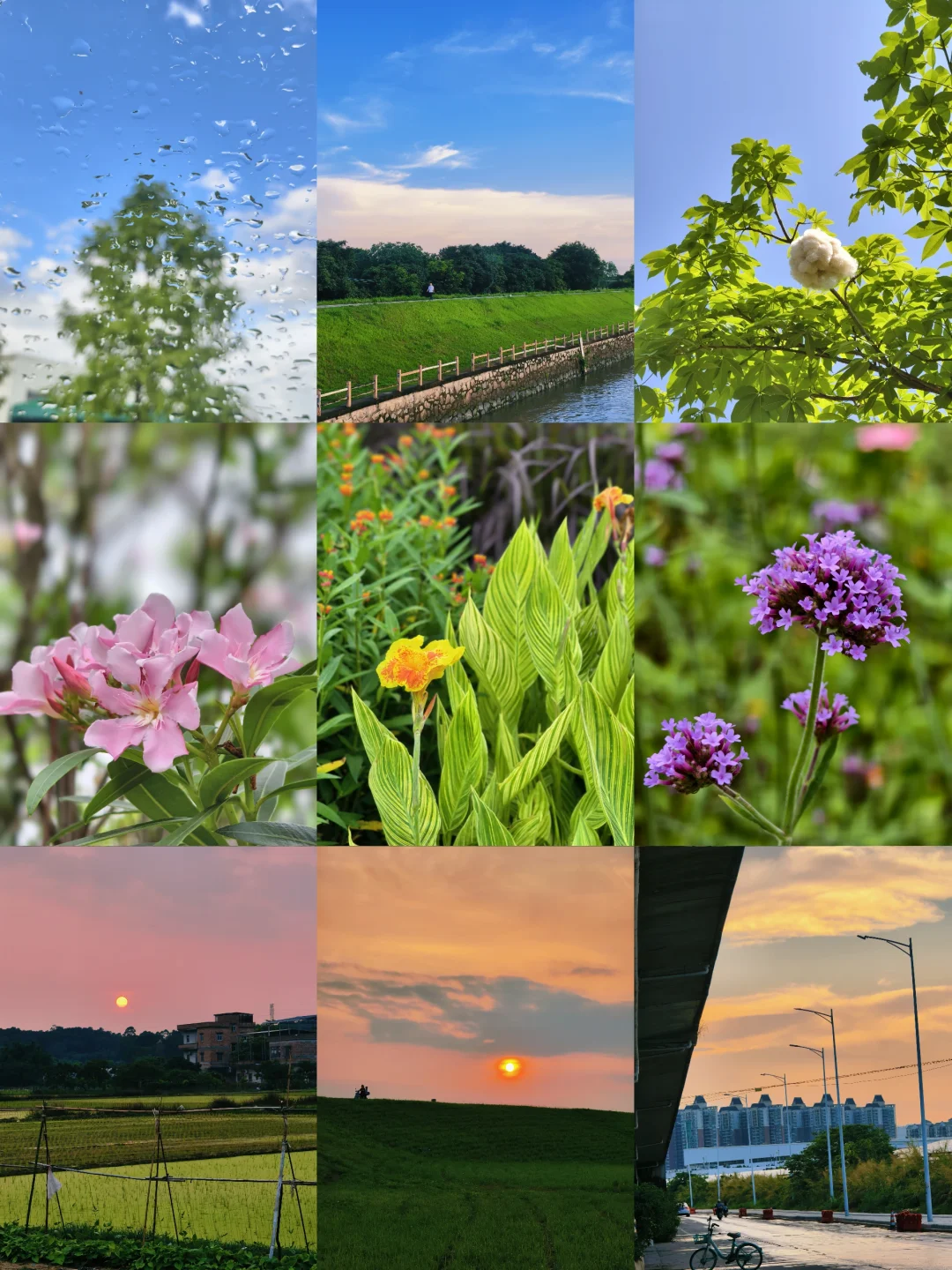 雨后总能遇见晴朗。