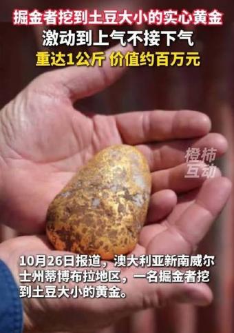 澳大利亚，一业余淘金者，在当地地下10厘米处挖出一块土豆大小的实心大金块，整块重
