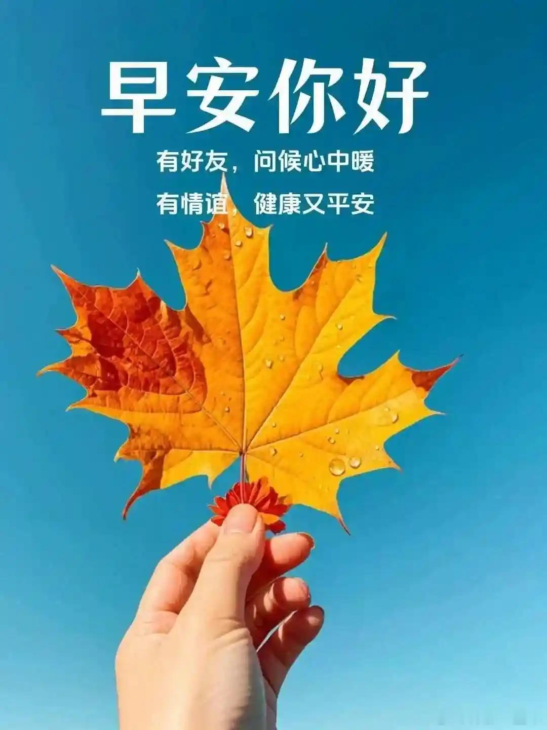 早安[鲜花][鲜花]国庆节快乐[送花花][送花花] ​​​