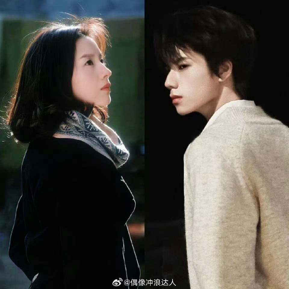 董洁王橹杰演母子期待王橹杰董洁强强联手