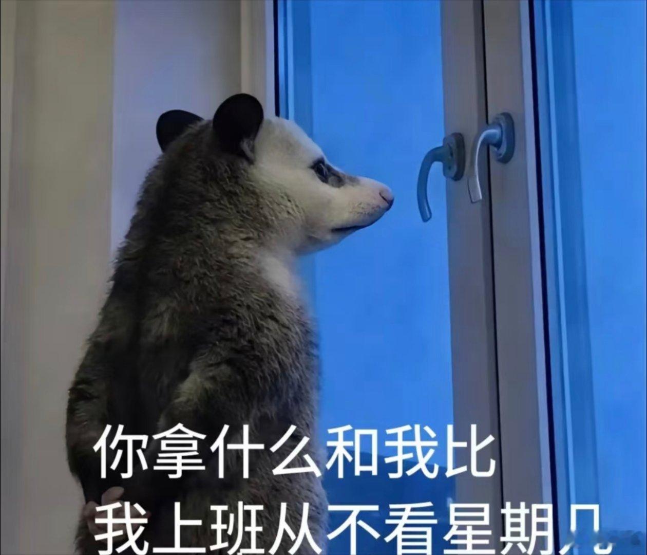 上班时和放假的状态！ 