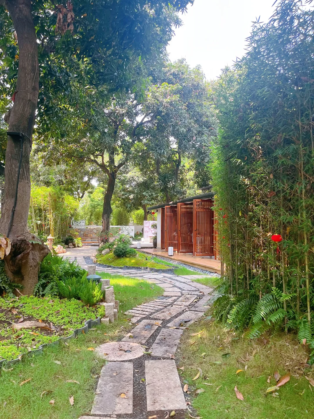 这家绿植环绕的小庭院🏡妥妥广东味湘菜馆