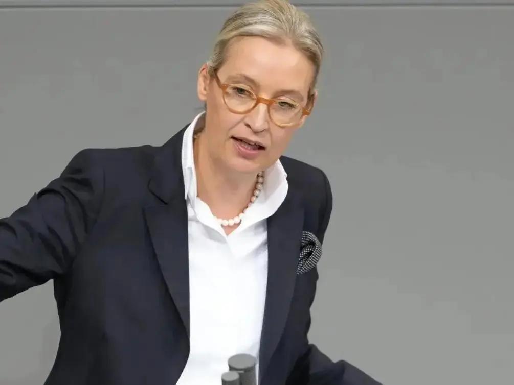 德国要出一个“明白人”了？
 
说实话，我最近看到魏德尔那段话，第一反应不是佩服
