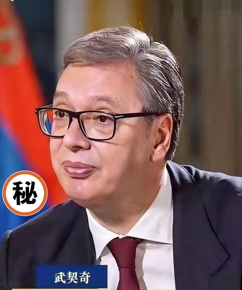 好奇查了下武契奇总统，不查不知道，一查才明白，他不仅是欧洲政坛的“端水高手”，在