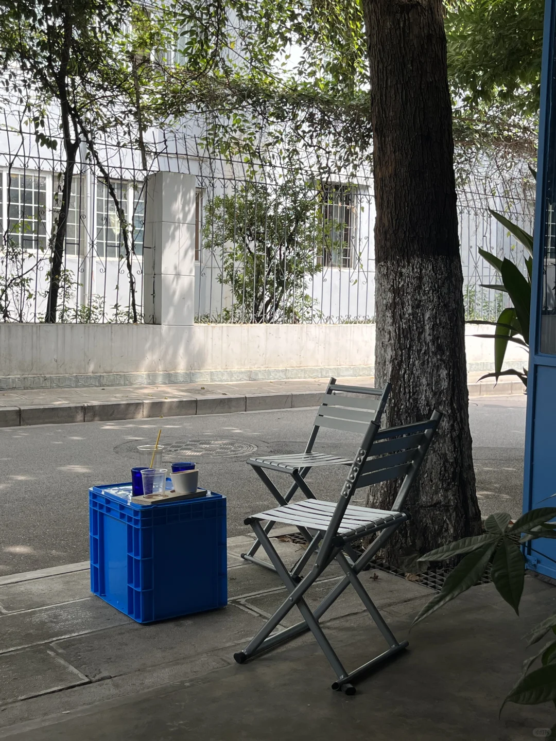 昆明|请多来点这种松弛又好喝的☕新店好吗！！