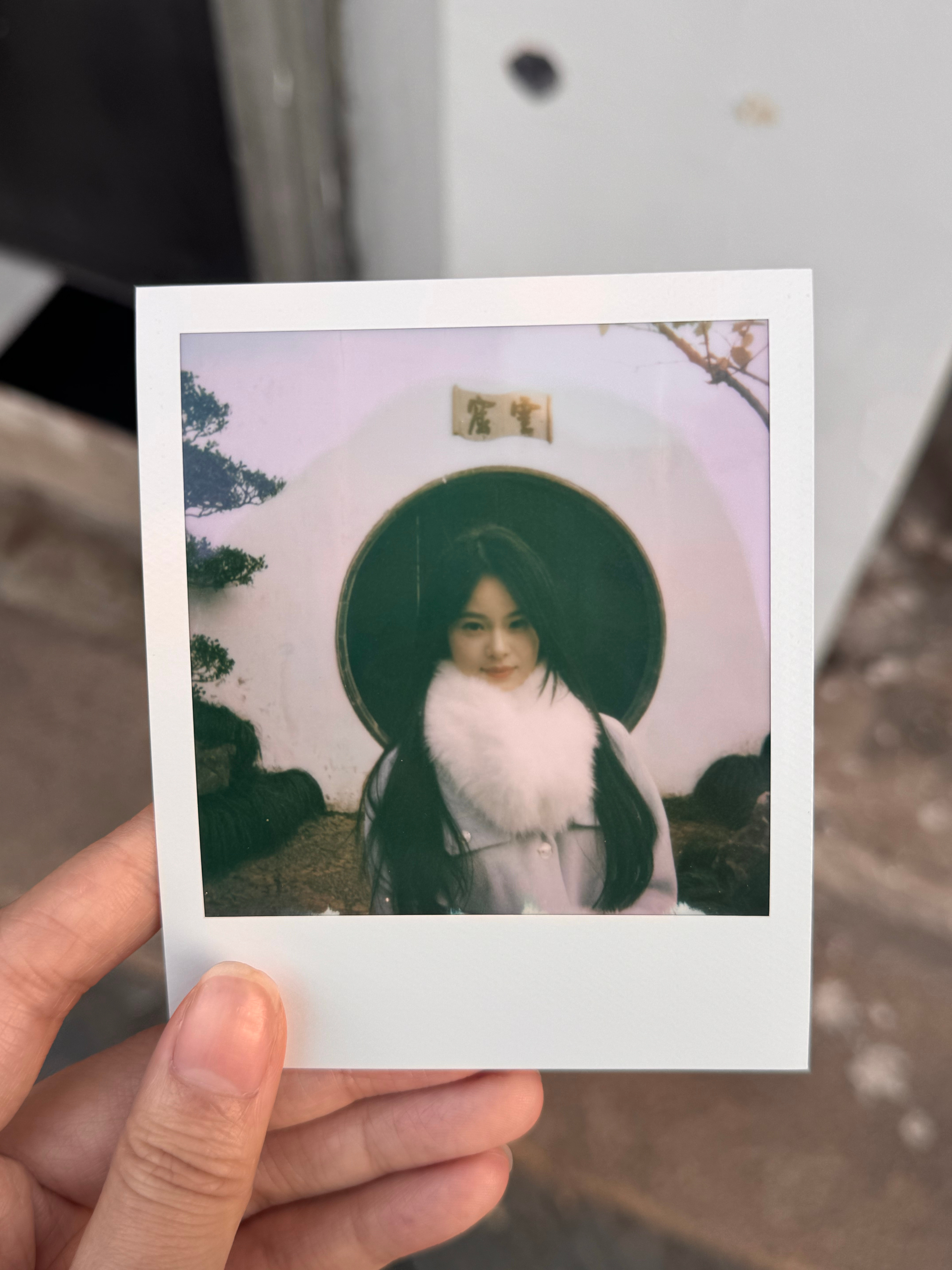 我在苏州！拍到一张好漂亮的宝丽来