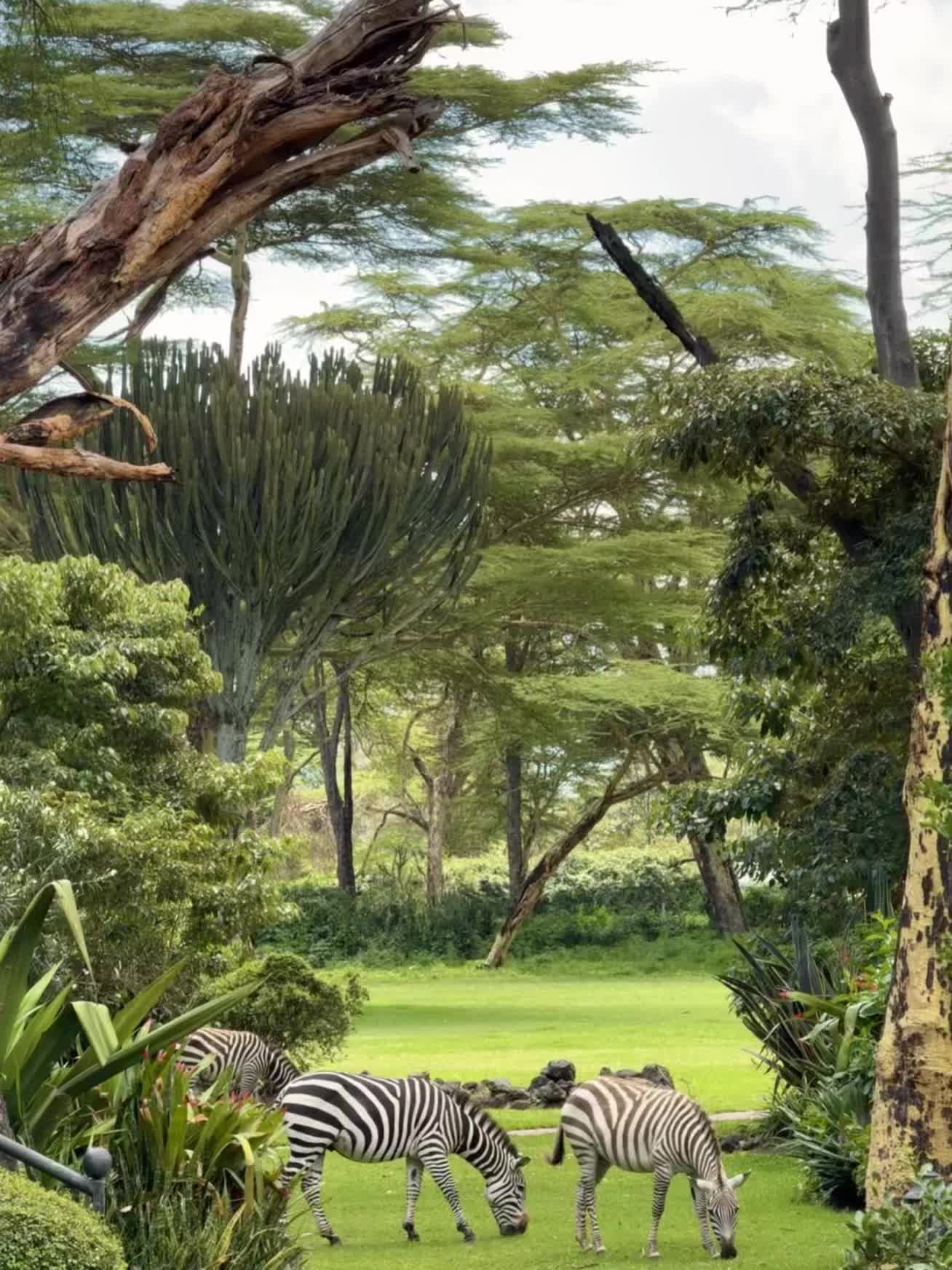 No hurry in Africa.