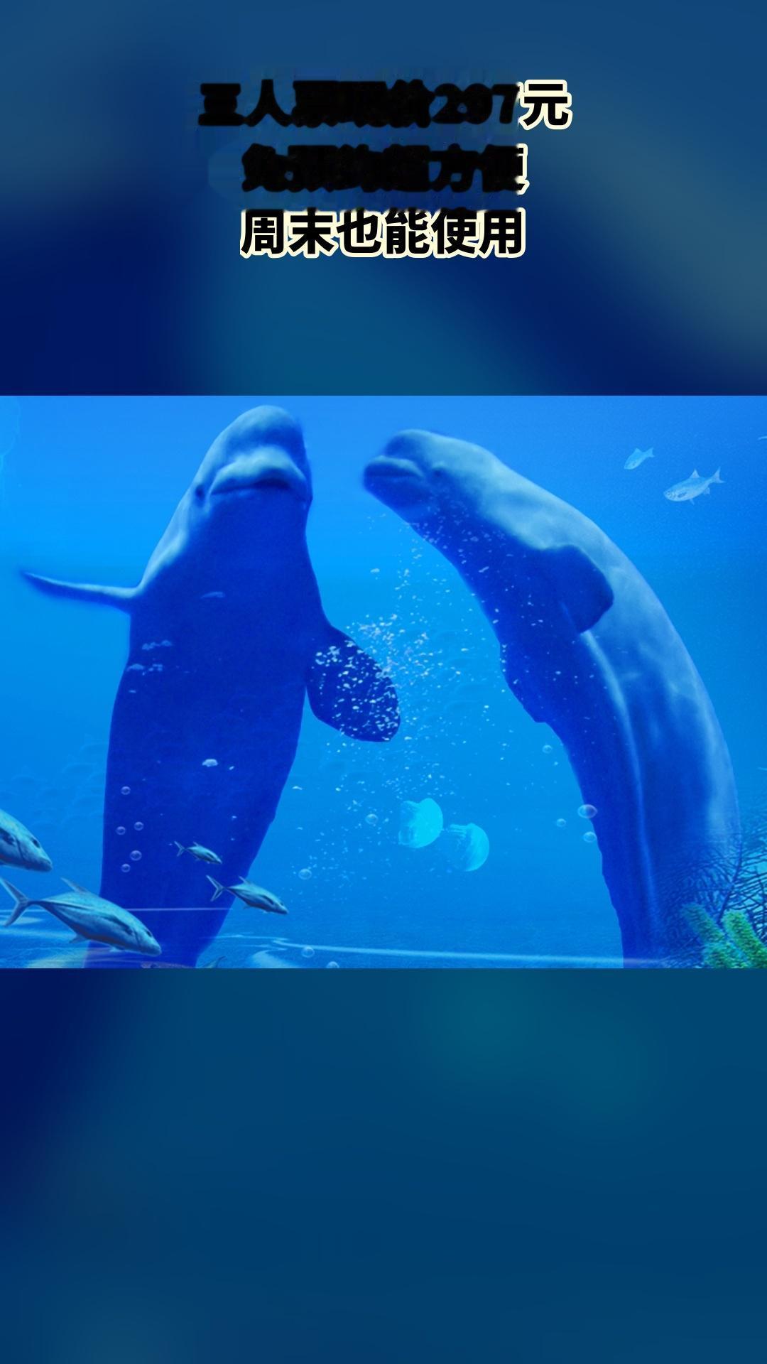 冰雪海洋世界，新品上线，抢先体验，三人票，景区官方、随时退·过期退