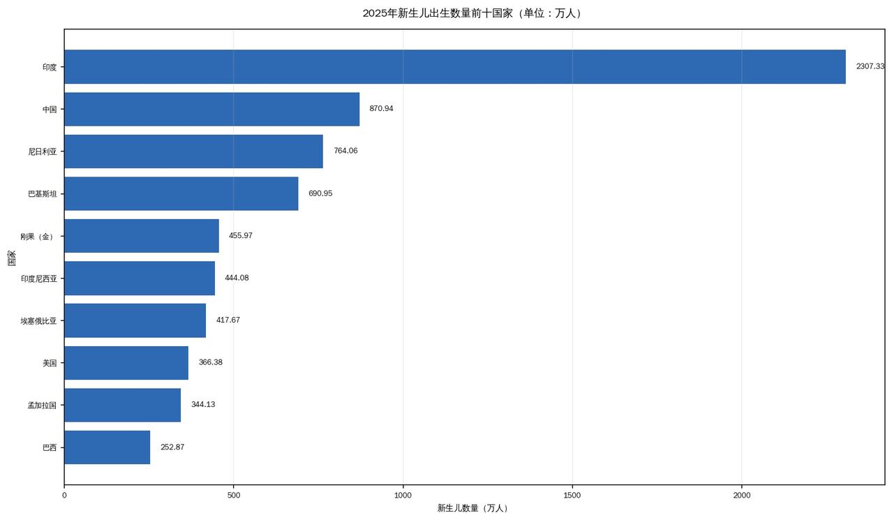 这才是真正的遥遥领先啊。2025年新生儿出生人口统计前10的国家中，印度的数据把