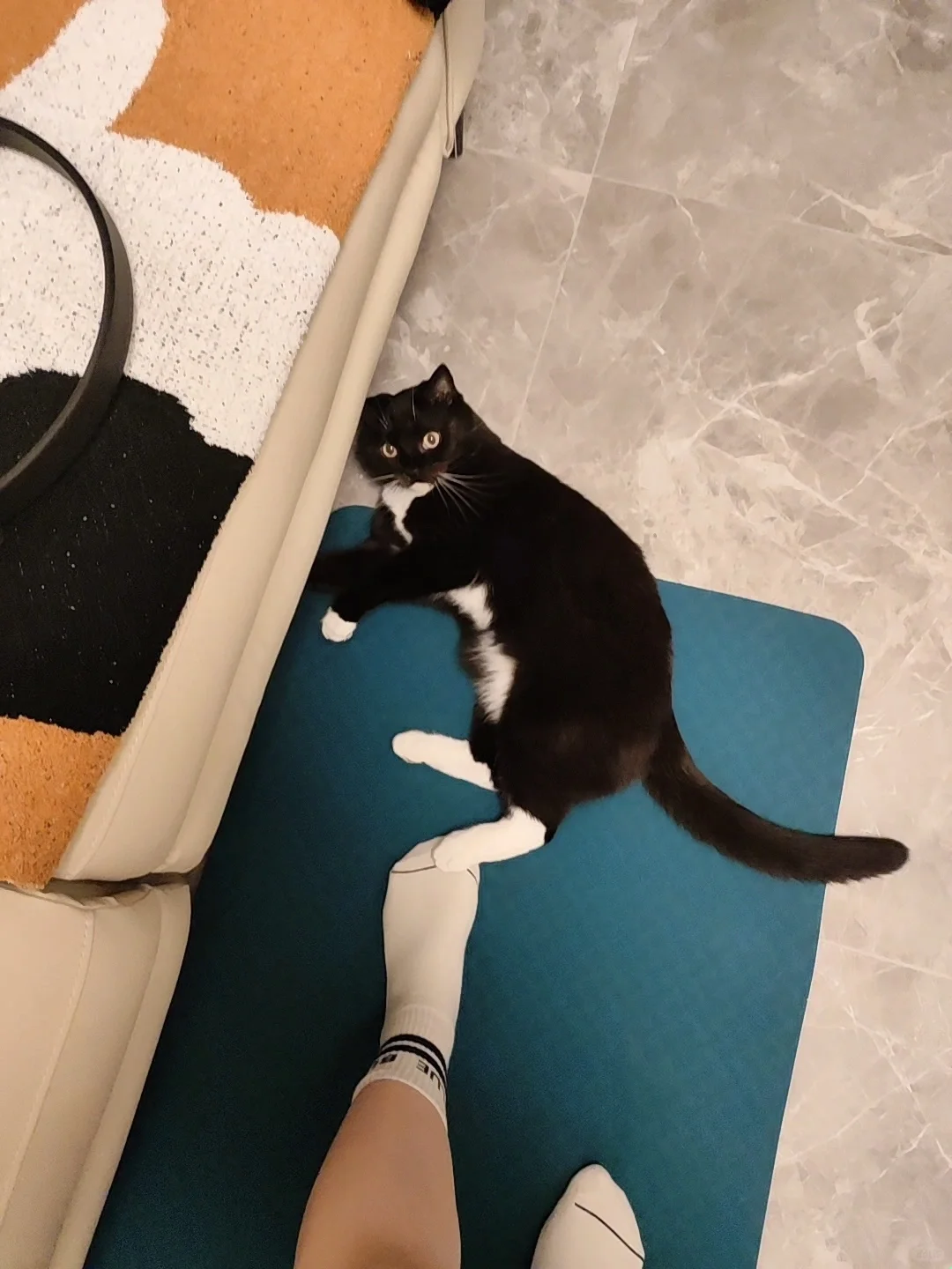 他的袜子怎么这么白🙊