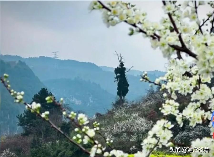 大圣驾到！到此一游！

这是大树化身大圣，还是大圣化身大树呢，总之，都值得来打卡