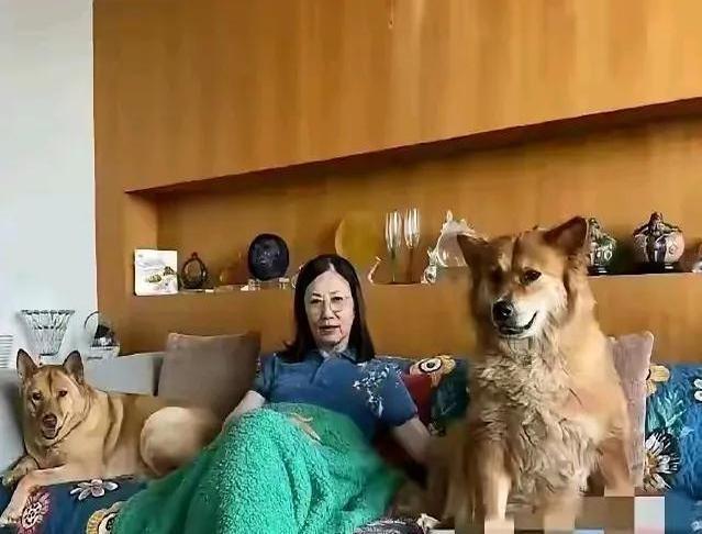 汪明荃家或许精致奢华，但是否真的宜居却成了众人热议的话题。

最近关于她和丈夫罗