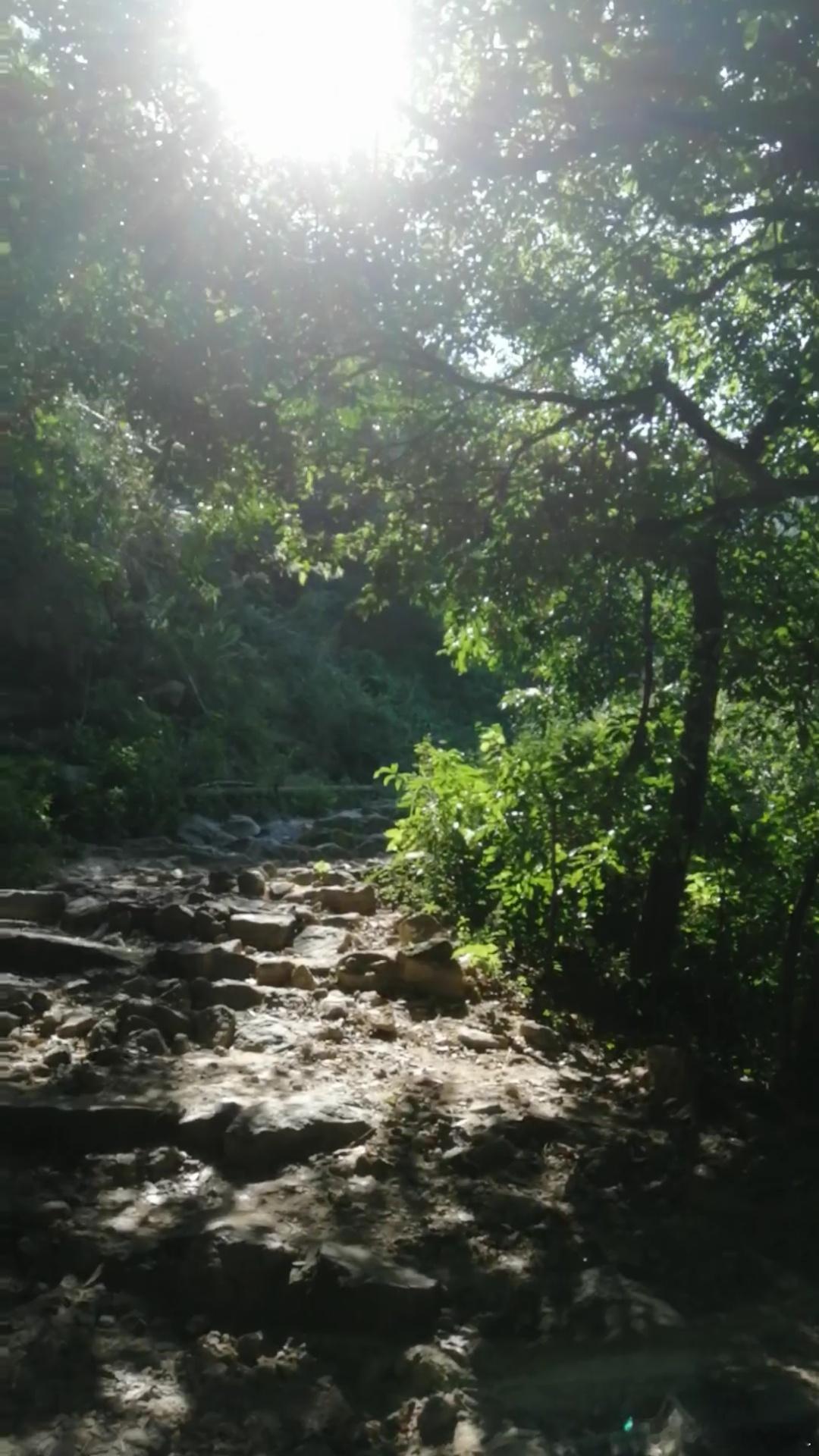 生活手记日常分享 怀念一下放飞自我的时间随手拍下眼前的风景手机摄影[超话] ​​