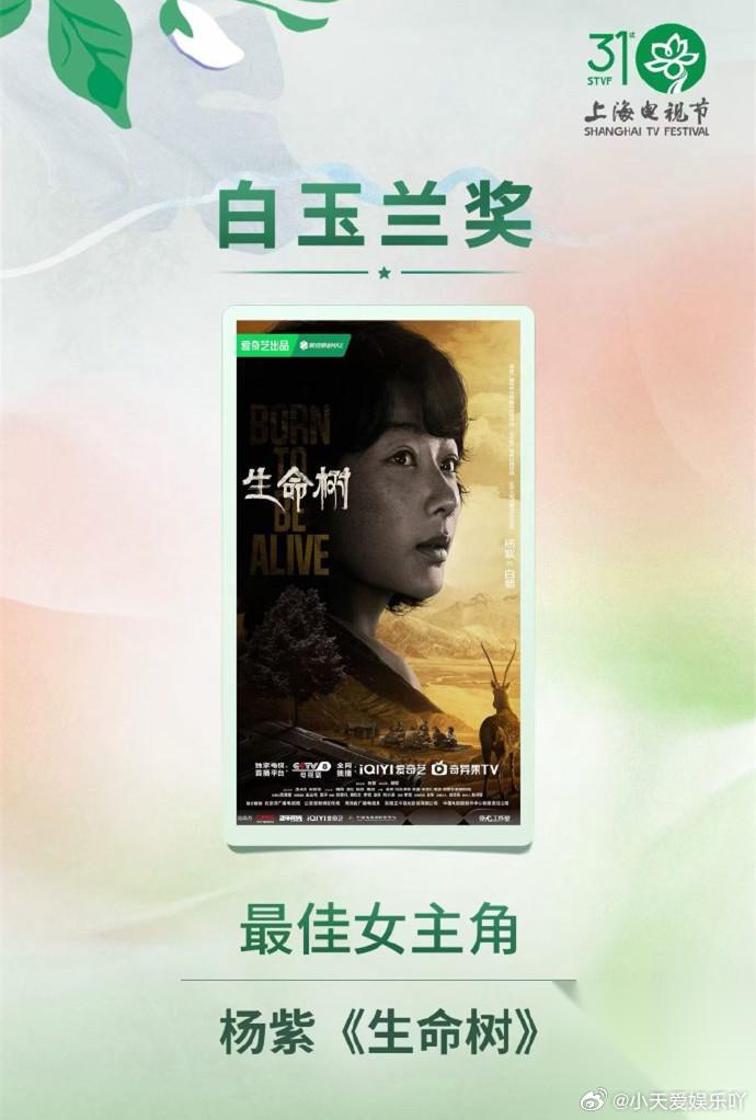 杨紫10年前就吹牛要拿下国内最高领奖台拿到最好荣誉。 2016年，杨紫在拍《欢乐
