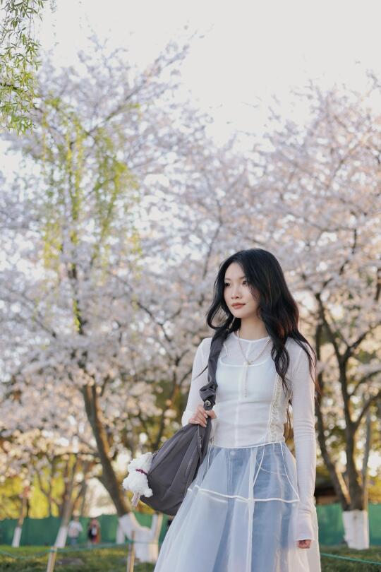空气是樱花味的🌸