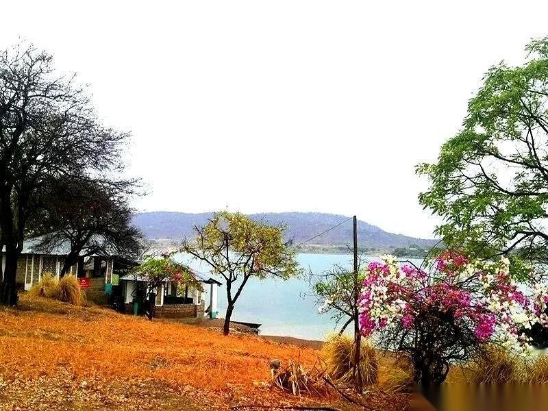 就差最后一个数了。
笔尖在“26”上面悬了足足半分钟，没落下去。整张草稿纸已经被