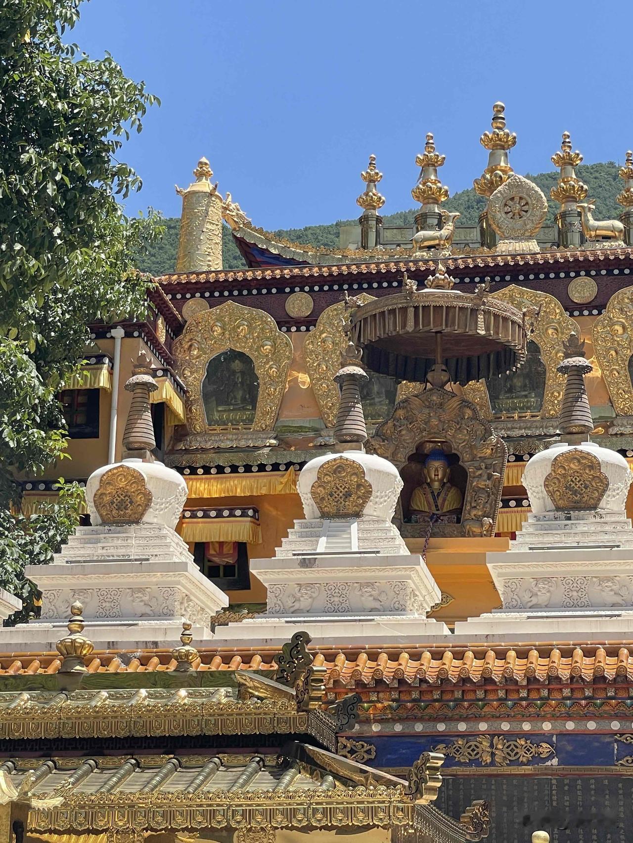 兰州轻旅居日常
石佛沟 灵岩禅寺
与山对坐，不语亦知音。

草木有本心，何求美人