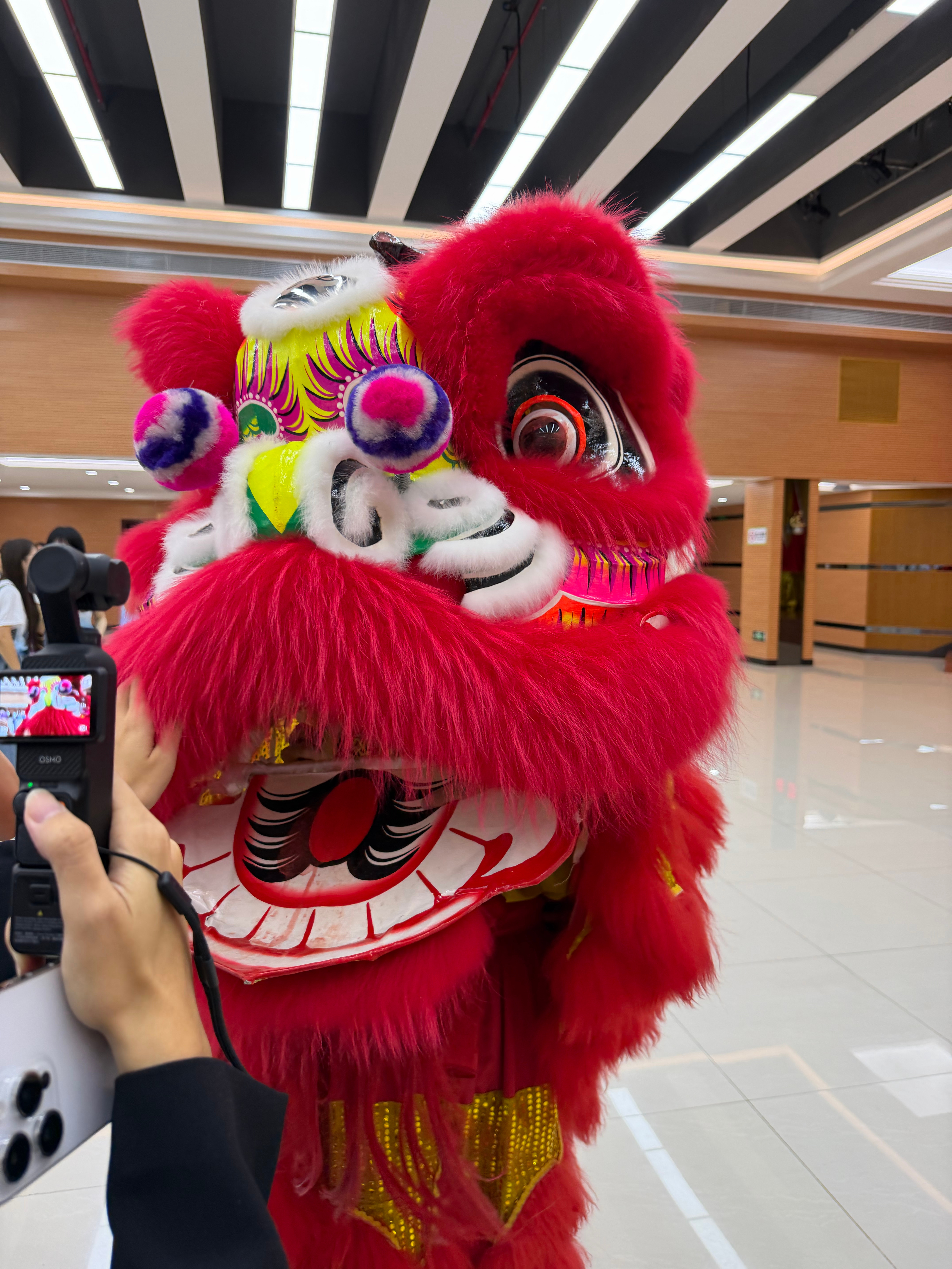 2026网络名人看深圳今天亲手摸到狮头了家人们！！宝安上合村居然能逛醒狮文化馆，