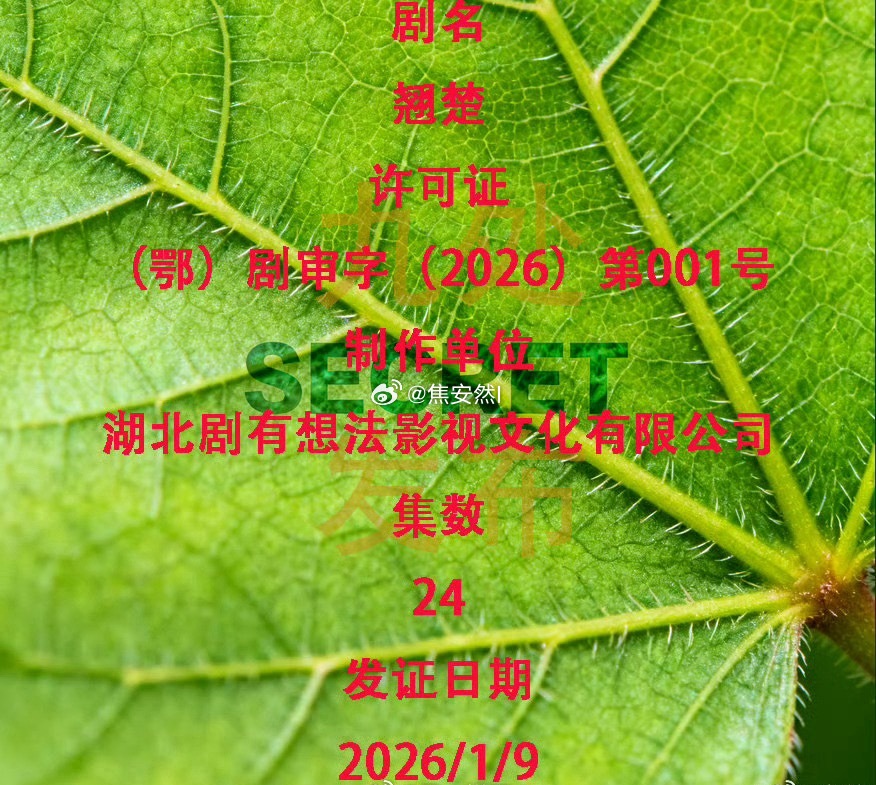 陈都灵翘楚下证了24集有点短，怕看不够啊 