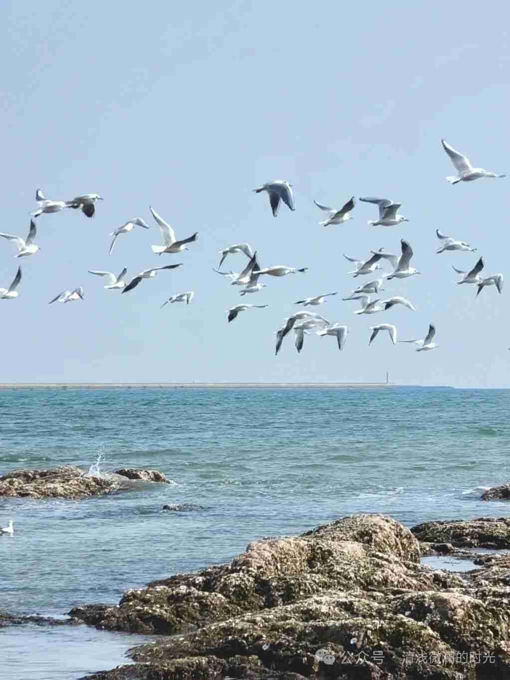 我的今日状态：😁轻松愉快
我这里的天气：☀️晴天