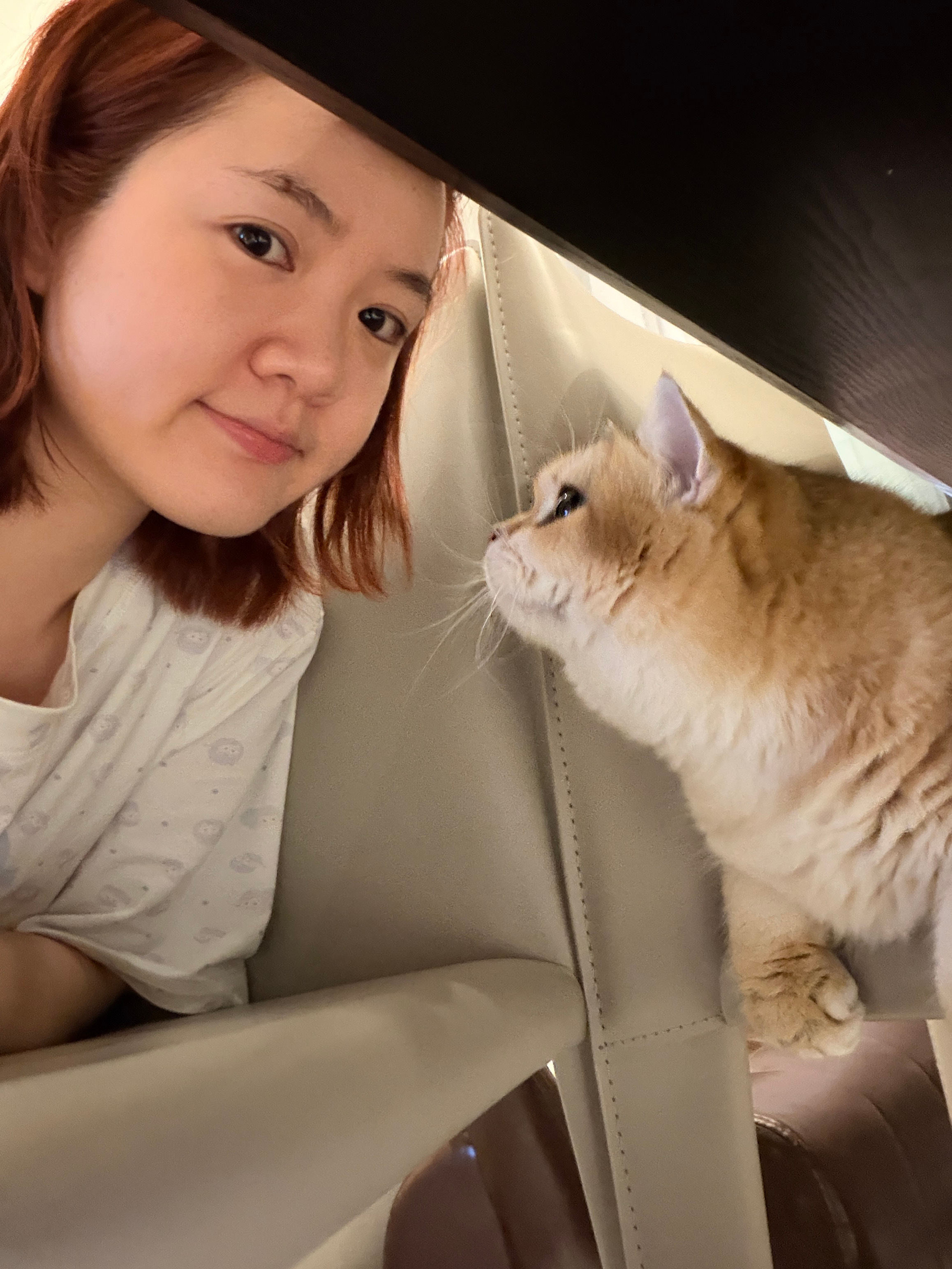 看见大咪我就这样一步一步向它靠近 