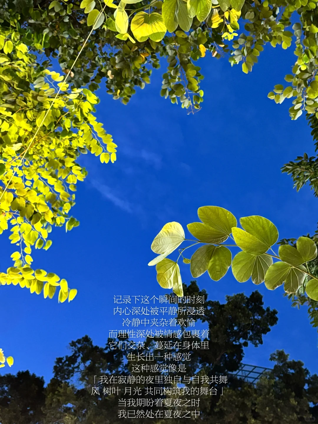 随笔｜我感到幸福的时刻往往是平凡的瞬间