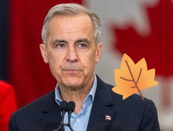 加拿大最新消息
2月8日，加拿大央行行长蒂夫·麦克勒姆称，若加方失去美墨加贸易协