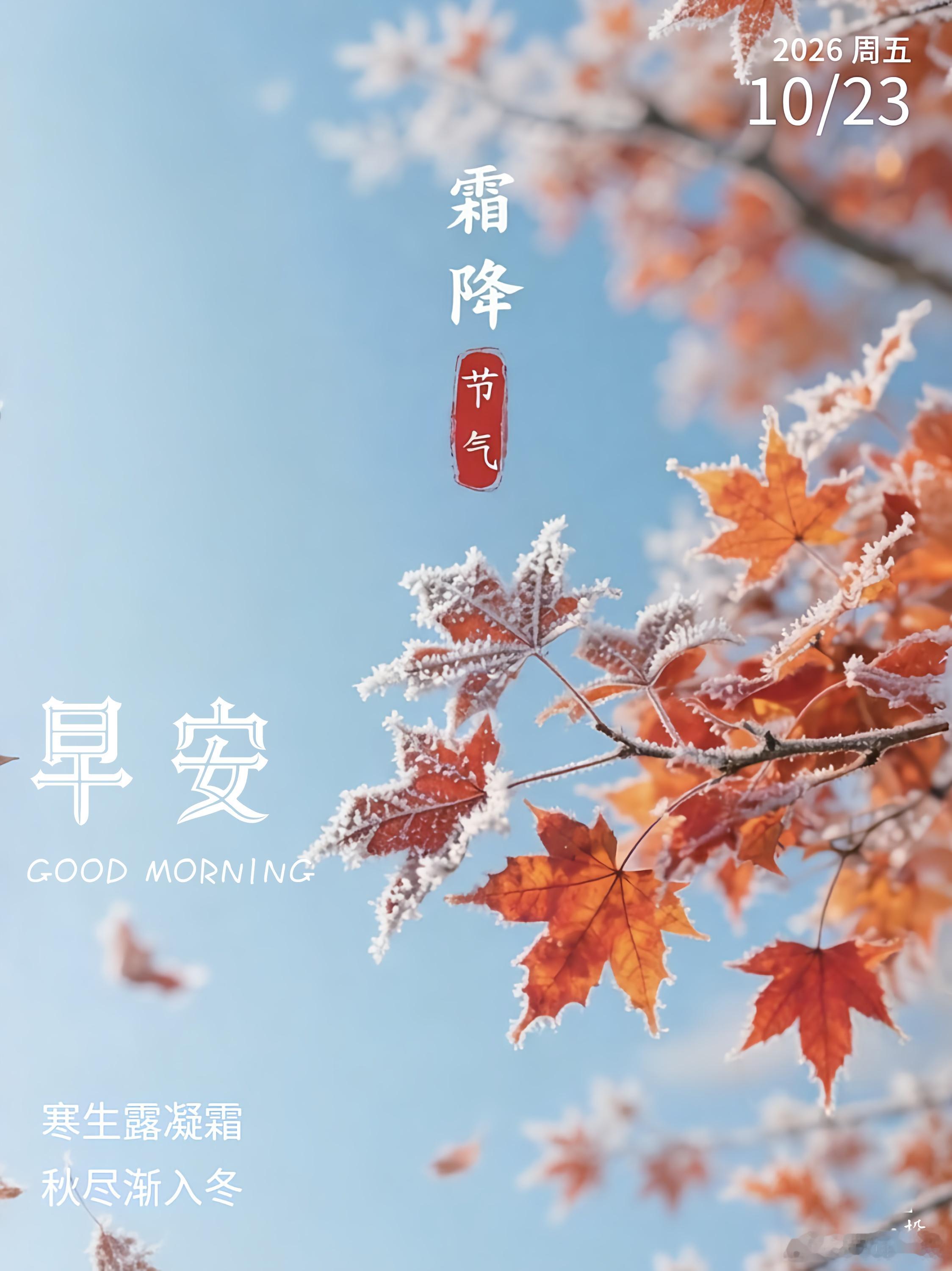 今日霜降 凝露为霜，万物归藏。注意添衣保暖，安度寒冬。 ​​​