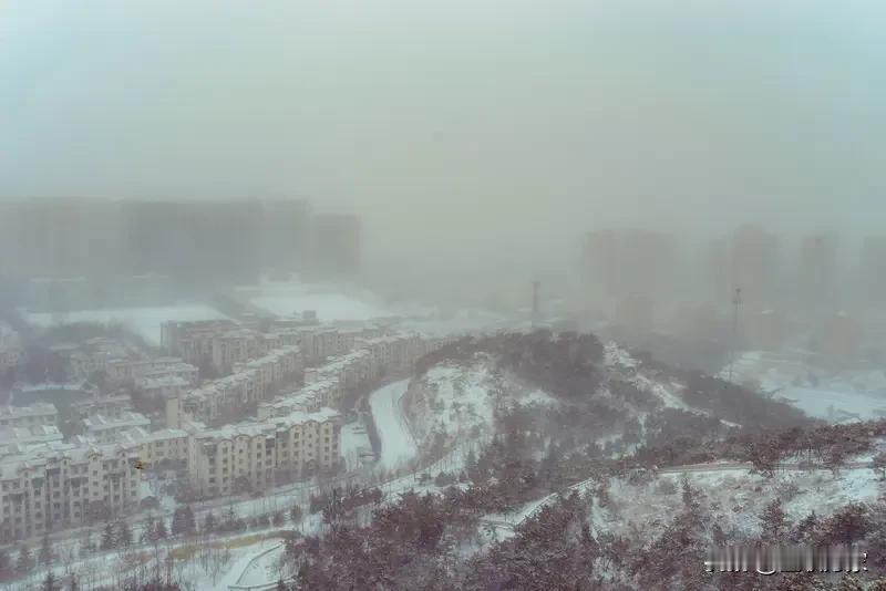 烟台暴雪下冒烟了？这话题一下就勾起了我的好奇心。6亿阅读量可不是闹着玩的，大家都