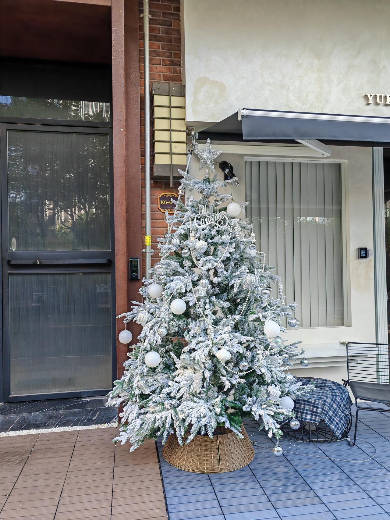 圣诞节还早着，但是很多店家门口都摆上了各种圣诞树，这一株算是比较有特色的白色圣诞