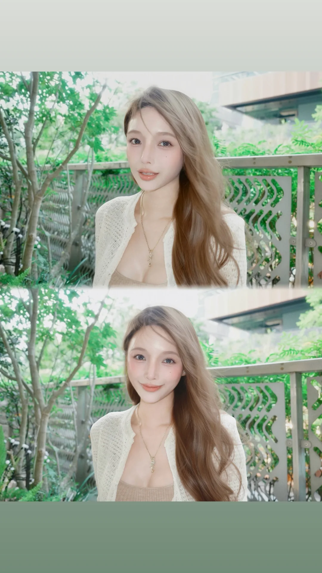 🍃✨🌳