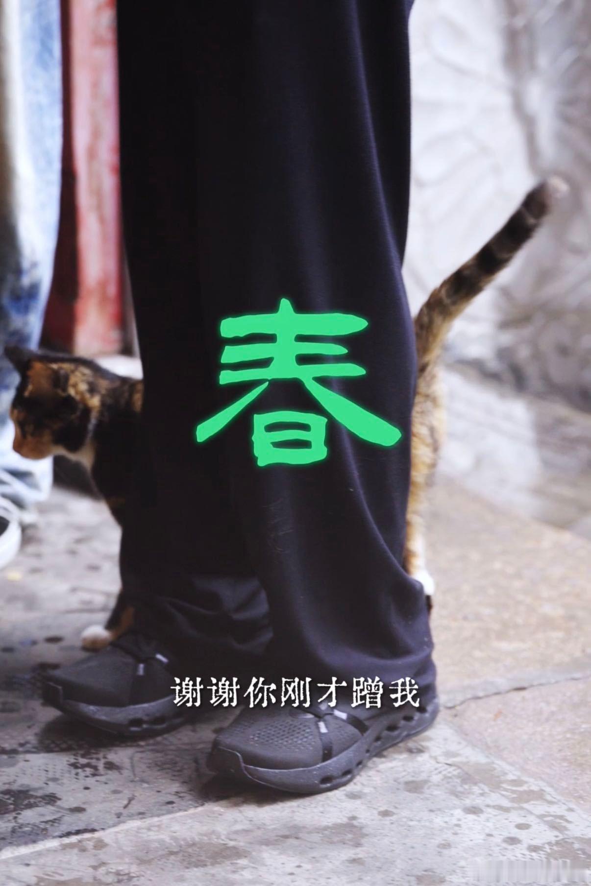孙坚带朋友回西安 期待这档旅综，不只是想看西安的美景美食，更想看孙坚和好友之间自