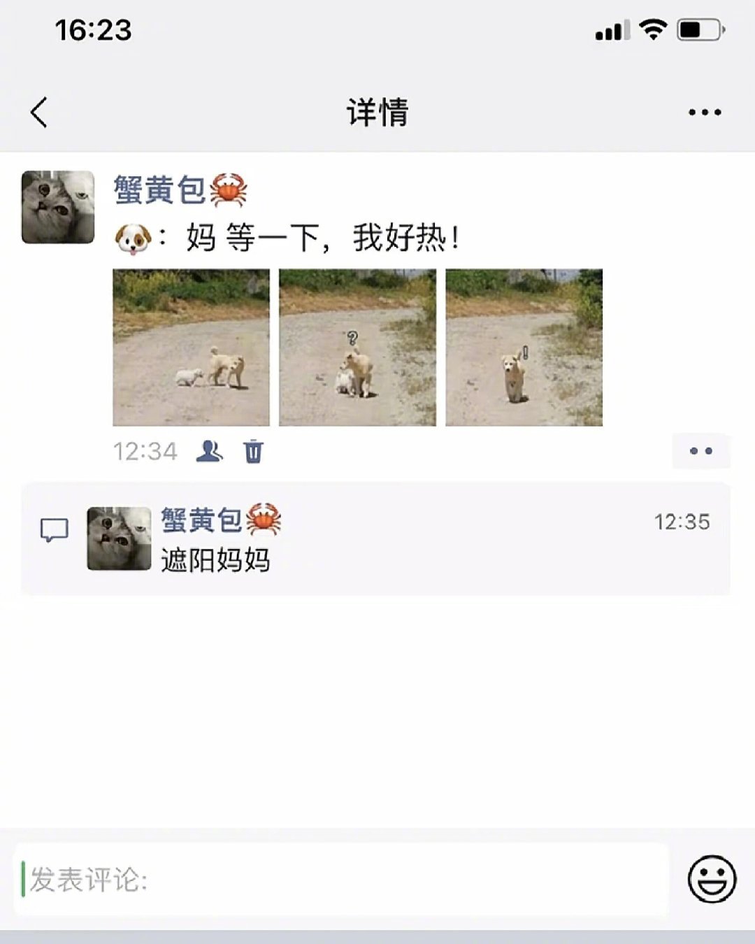 小狗:妈妈我好热 ​​​