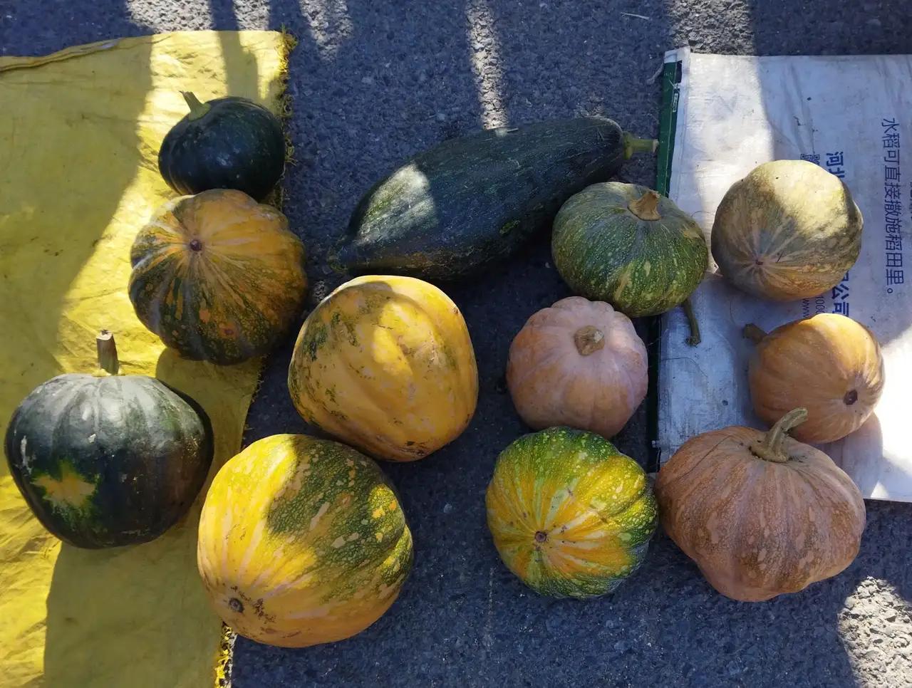 今天下雨了，不仅下雨，还伴随着阵阵雷声，这个季节，下雨常见，打雷却是极其罕见，听
