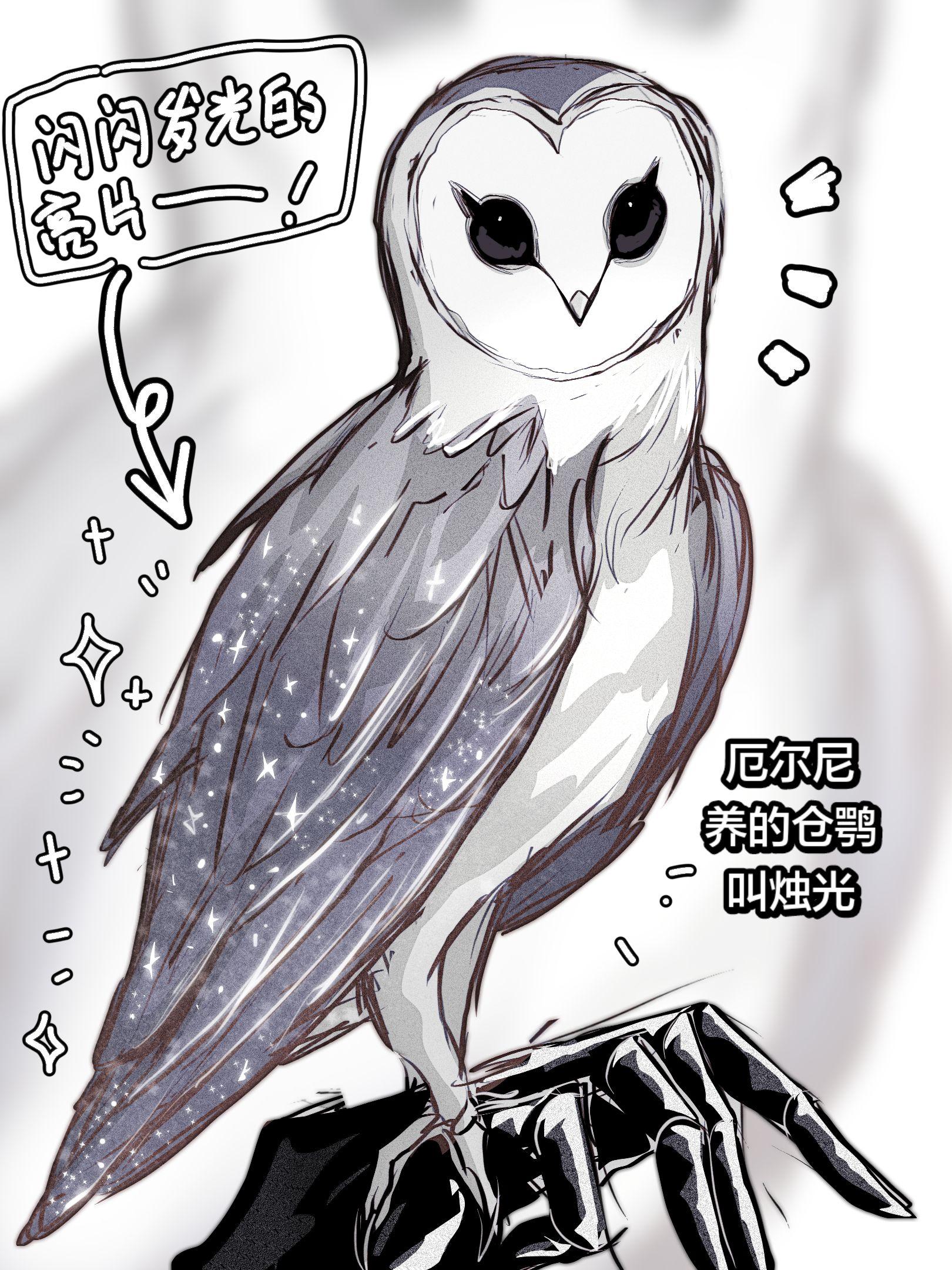 厄尔尼养的仓鹗