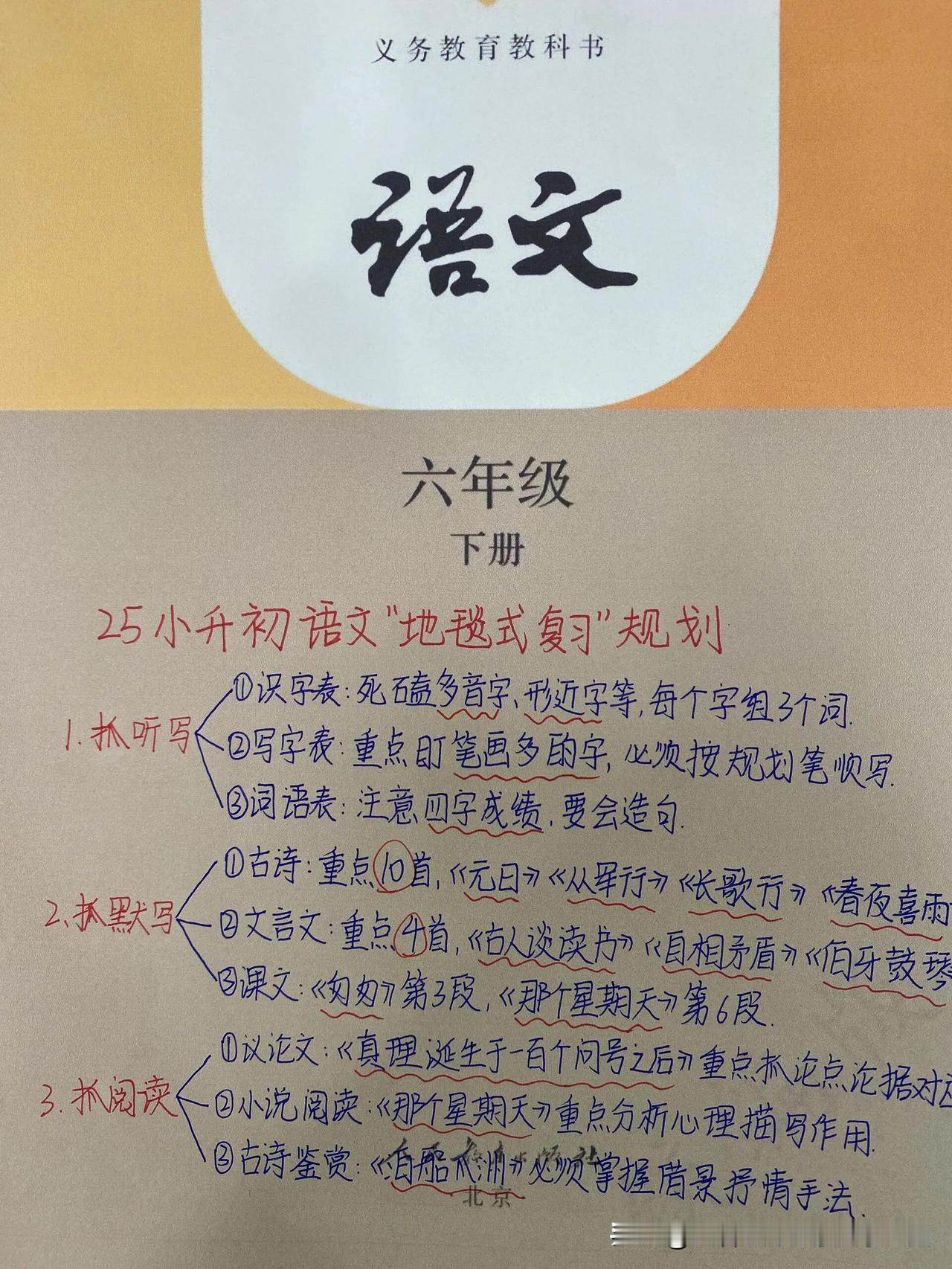 过来人经验分享：小升初语文地毯式复习规划