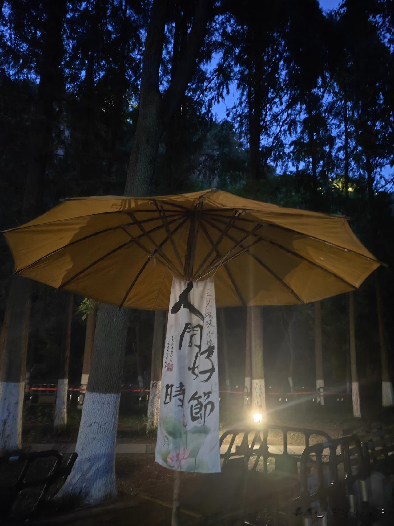 夜晚的亭林园，是江苏昆山的一处静谧宝藏。白天它因琼花闻名，夜晚则是另一番宁静模样