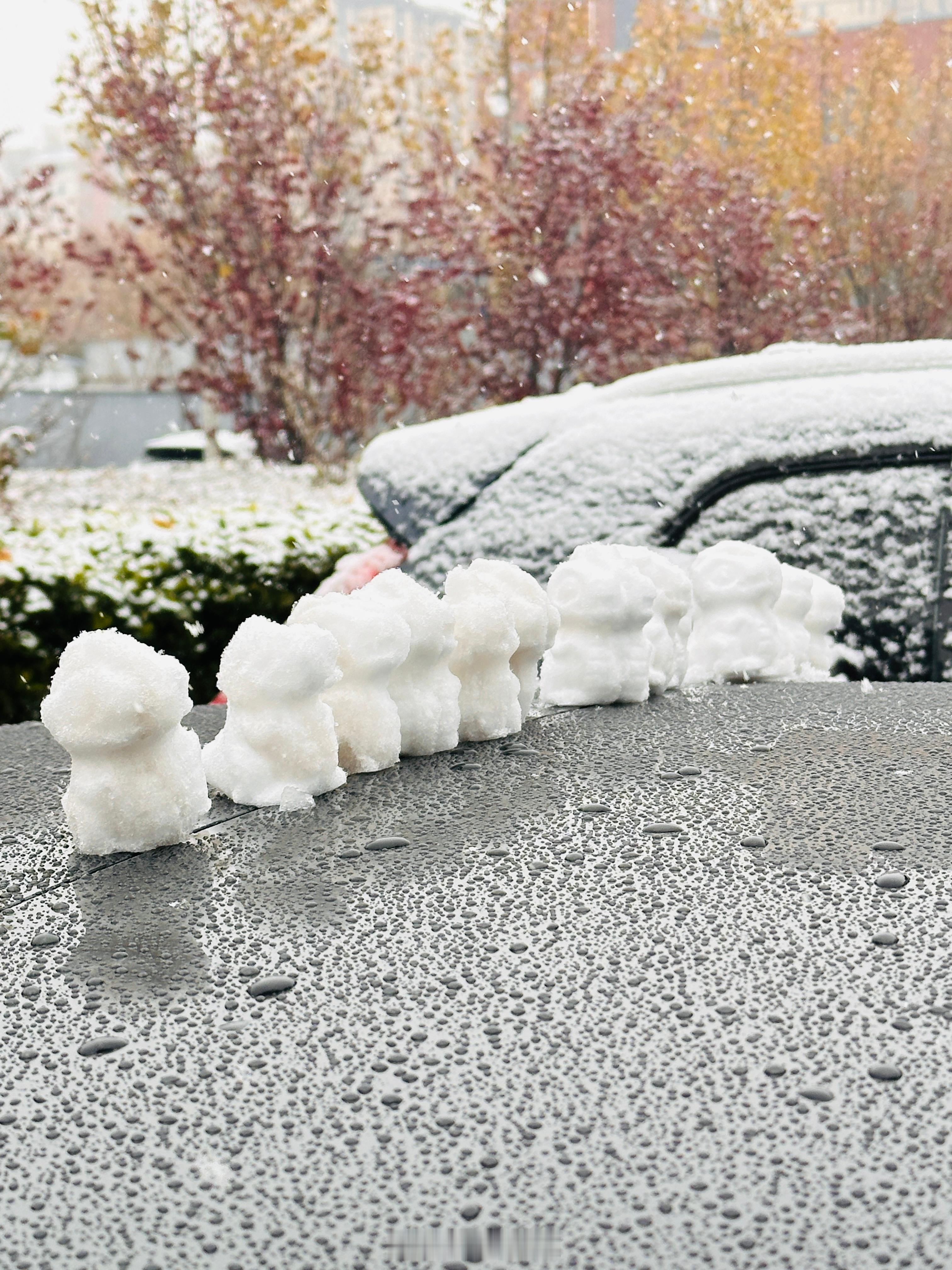 快看啊下雪了知道天气预报今天有雪，特意给孩子请了一天假，早晨学习机把课程学完，剩