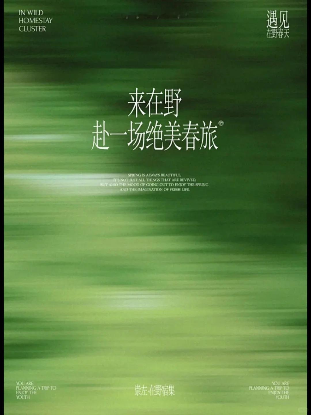 灵感的诞生 绿色系海报 