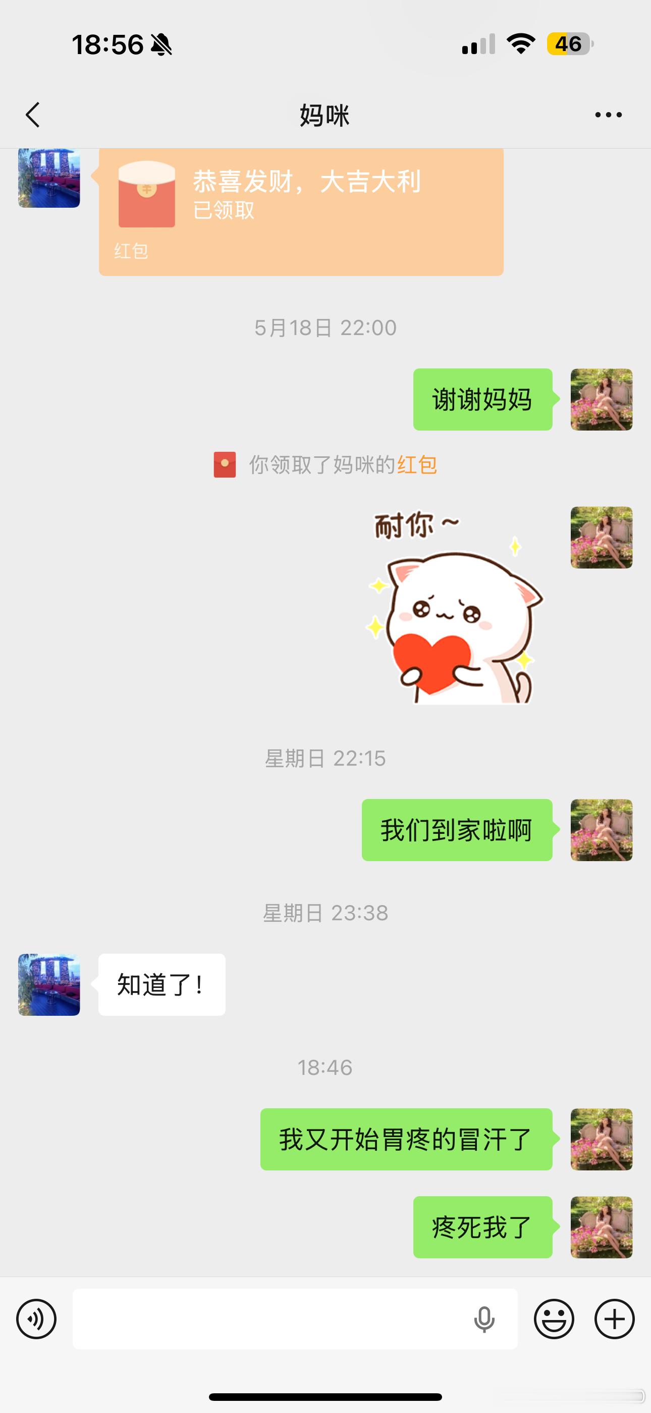 刚刚又再次经历了胃疼到全身冒冷汗到湿透了衣服的半个小时,现在胃依旧在痛.这次家里
