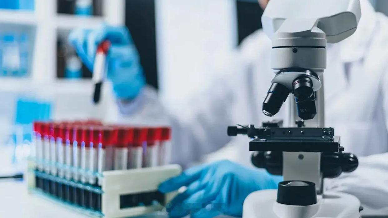 视黄酸(retinoic acid)可能会让某些免疫细胞对癌细胞的反应变弱 维生