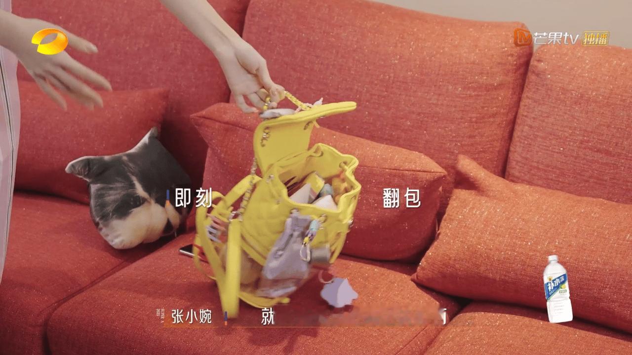 张小婉的铁饭碗只值1块钱张小婉连包上的专属“小碗”都得摘下来换1块钱应急，还委屈