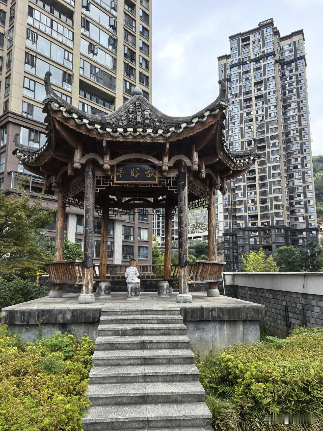 七律.和牛牛在放眼亭感怀
（2024年9月18日）
一亭寂静藏园趣，半槛高悬瞰世