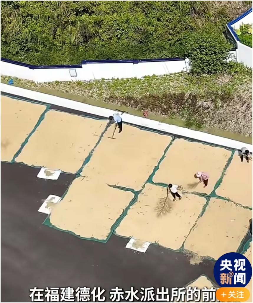 最近看到两个关于村民把粮食晒满派出所遇雨的事儿，简直暖到我了。襄阳谷城县茨河派出