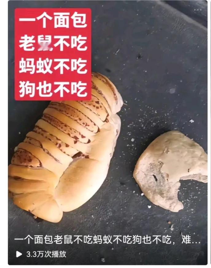 一位网友做的实验
几十块钱的高级面包，放在地上，蚂蚁居然不识高级货，所以说蝼蚁就