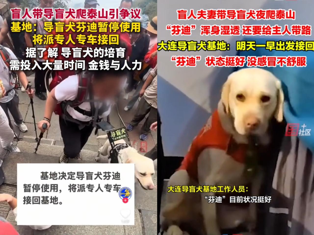 那对在泰山“作死”的盲人夫妻
又有新消息被网友扒出来啦！
原来他俩

来自北京，